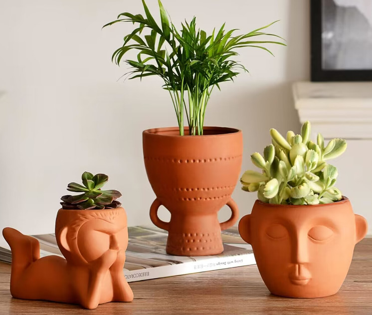 Indoor Small Terracotta Plant Pots Stain Resistance