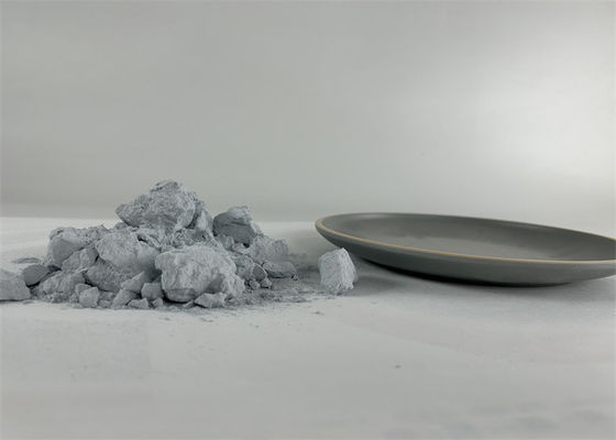 L'échantillon fourni est une imitation de porcelaine cuillère à soupe Amino moulé plastique cristal blanc