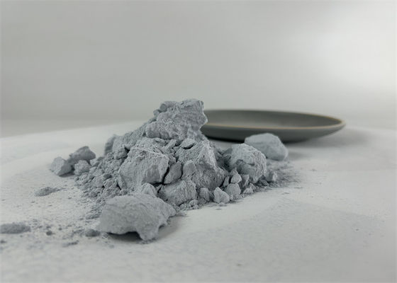 L'échantillon fourni est une imitation de porcelaine cuillère à soupe Amino moulé plastique cristal blanc