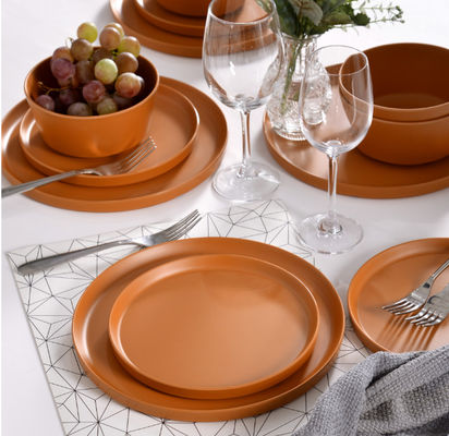 12pcs plaques de mélamine bols durable lave-vaisselle sécurisé sans BPA