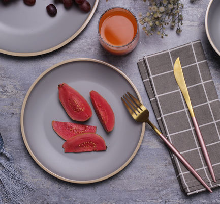 Plate à souper en mélamine résistante à la chaleur Gufaith 12 pièces