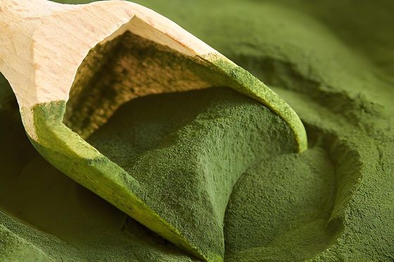 Poudre de glaçage vert noirâtre de qualité alimentaire composé de moulage de mélamine d'excellente qualité composé de moulage de mélamine