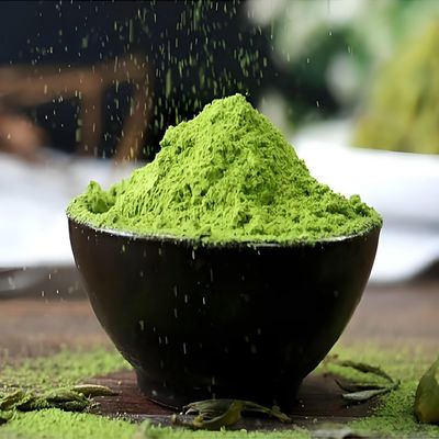 Poudre de glaçage vert noirâtre de qualité alimentaire composé de moulage de mélamine d'excellente qualité composé de moulage de mélamine