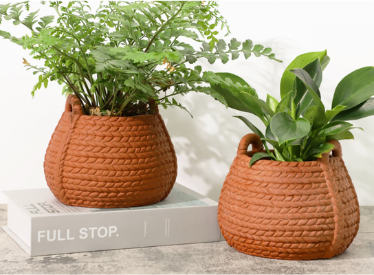 Des pots de terre cuite de 6 pouces pour les plantes d'intérieur